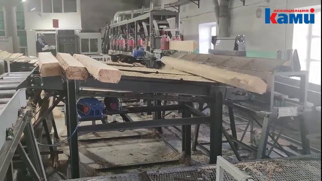 Лесопильная линия KRAFTER . Цех распила леса на деревообрабатывающих станках Крафтер