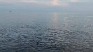 Байкал.Хариус. Прогулки с нахлыстом 2023