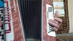 ЛЕБЕДИ  кавер баян