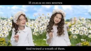 "Индиго" - Ромашки