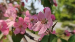 Было или нет__. Поёт Валерий Сёмин.