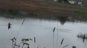 Рыбалка  Река Белая 03 09 2015 г