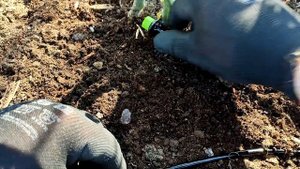Install a Automatic Micro Drip Irrigation System For Raised Bed Garden / Automatic Watering System