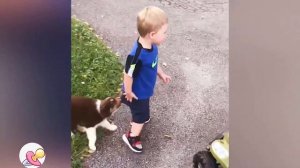 😂😂😂РЖАЛ ДО СЛЕЗ😂ДЕТСКИЕ ПРИКОЛЫ😂ДЕТИ И ЖИВОТНЫЕ😂СМЕШНЫЕ ПАДЕНИЯ В ВОДУ😂ДЕТКИ ПАДАЮТ В ВОДУ😂