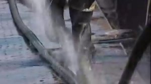 Марфа и её щенки (2006г)