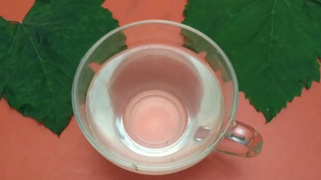 Чай из листьев поможет убрать #варикоз_на_ногах и растворить камни в почках! смотреть онлайн