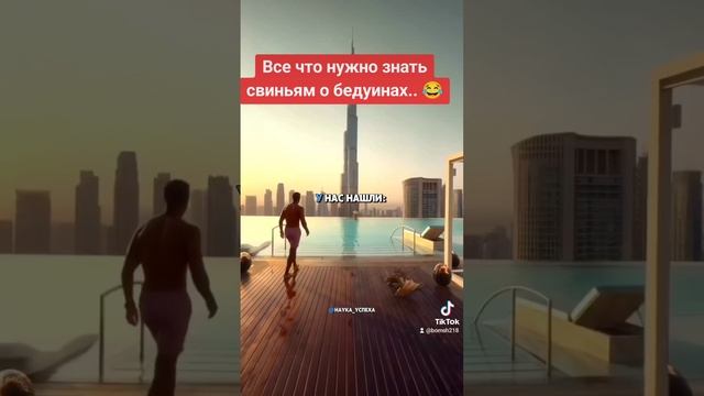 Свиньям о бедуинах?