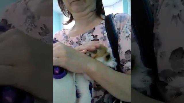 Юсьтины заболела 😭😭😭/Делаем укол💉...