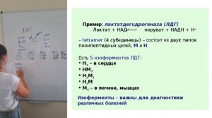 8. Энзимодиагностика