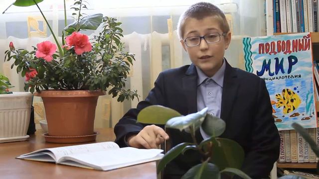 Страна читающая — Василий Кузьмин читает произведение «Свинья под дубом» И. А. Крылова смотреть онлайн