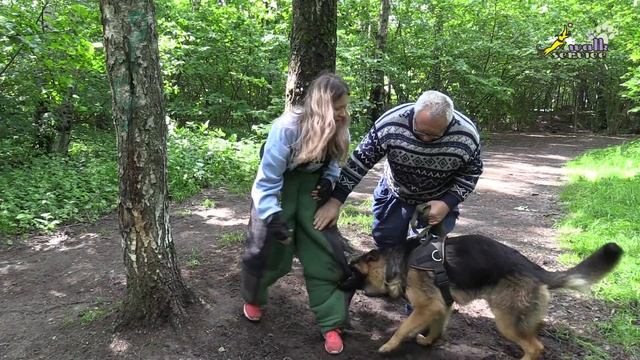 Тригер 69, Нарабатываем хватку между деревьев смотреть онлайн