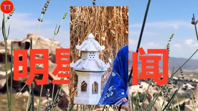 肖战最受欢迎的5个角色，魏无羡顶流