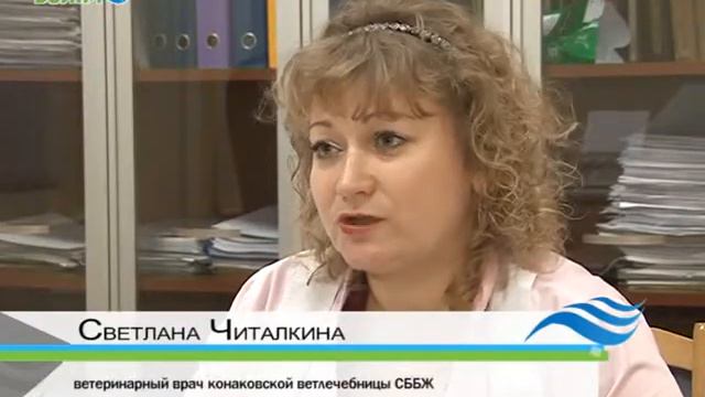 Бешенство в Конаково и Конаковском районе смотреть онлайн