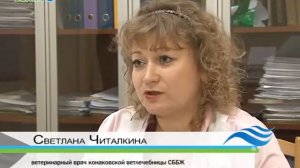 Бешенство в Конаково и Конаковском районе