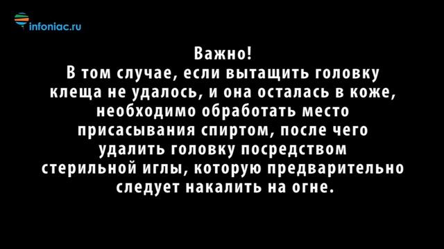 УКУСИЛ КЛЕЩ.. ЧТО ДЕЛАТЬ? смотреть онлайн