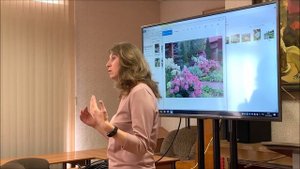 ГОРТЕНЗИИ ! Без этой ОБРЕЗКИ не видать Вам КРУПНЫХ соцветий! Формируем куст.    3 часть