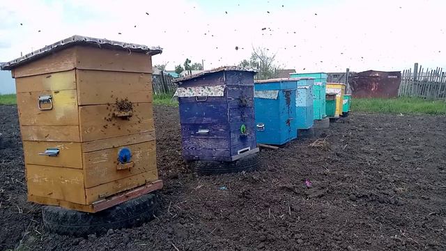 что делать? смотреть онлайн