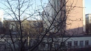 15-кратное увеличение на Fujifilm FinePix S1600