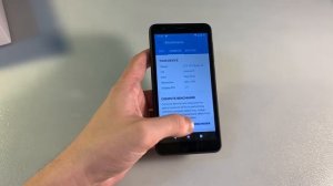 Обзор ZTE Blade L8