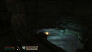 Oblivion прохождение часть 30 (Охотники и дичь)