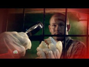 "Следствие вели...": "Ее последний портрет"