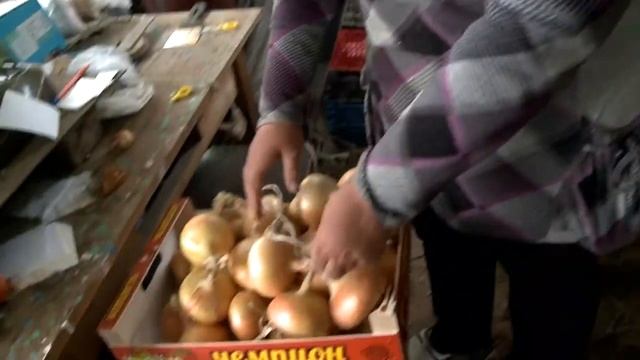 Плетем косу из лука смотреть онлайн