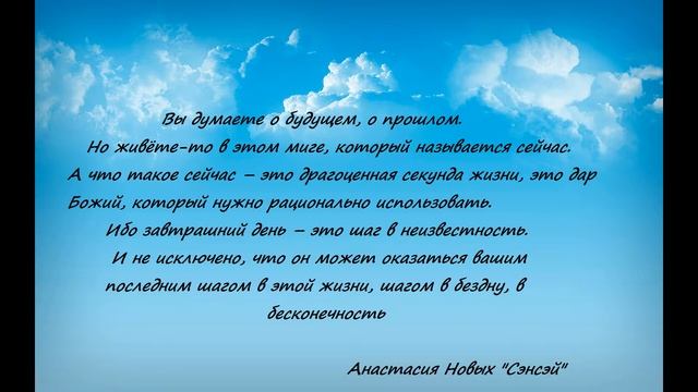 Цитаты из книги Анастасии Новых "Сэнсей" смотреть онлайн