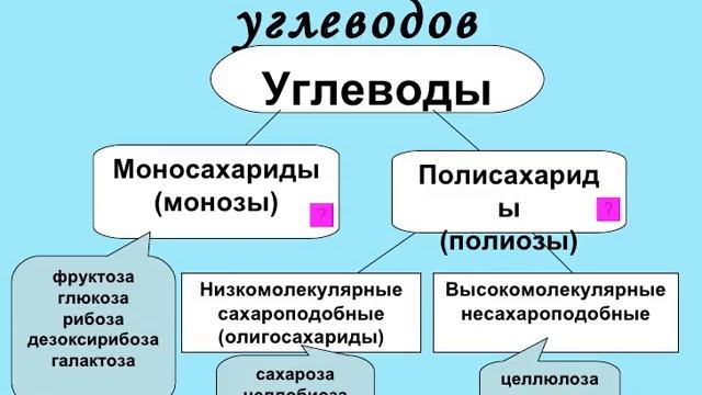 Углеводы. Строение моносахаридов, дисахаридов и полисахаридов - ОПИУМ