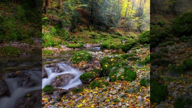 Поль Мориа (мог ли это быть я),(отдых души) смотреть онлайн