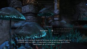 Enderal: Forgotten Stories #34 - Длинный Путь к Вершине