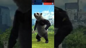JW alive Panda Boss defeated easily