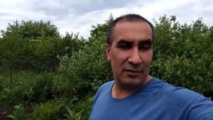 #Падеж кур #Прежде чем завести птицу, посмотри это видео