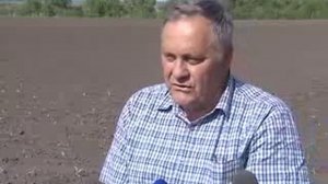 Полевые работы: на полях области началась заготовка кормов. Агрофирма «Мценская»: овощеводы продолжа