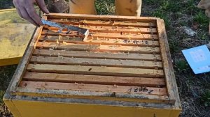 Почему нужно зимовать на одном корпусе Рут