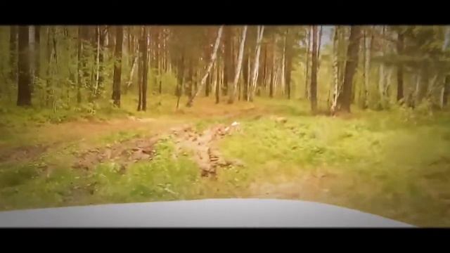 Сафари 540 на ниве. палкинский торфяник смотреть онлайн