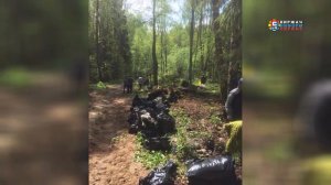 Леса вокруг озера близ деревни Тельвяково стали чище
