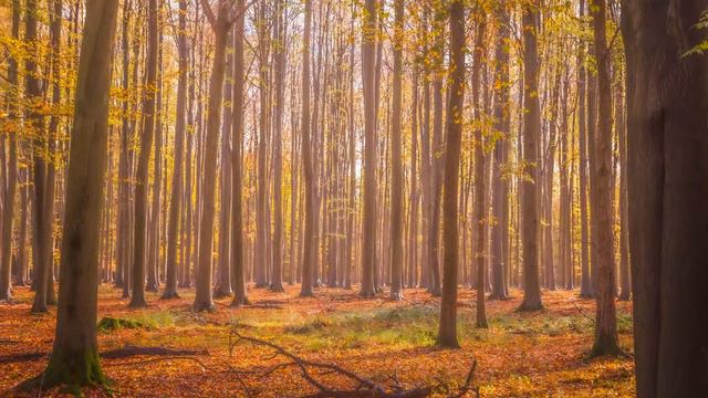 Lounge Chillout Music online radio смотреть онлайн