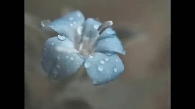Счастье