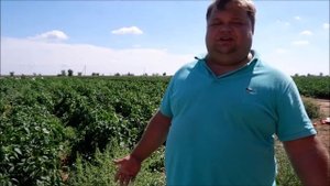 В объективе молодежь села Черный Яр Астраханской области: Глава КФХ Андрей Большаков