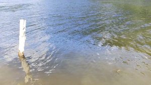 Рыбалка в Березовом логу на Саяно-Шушенском водохранилище