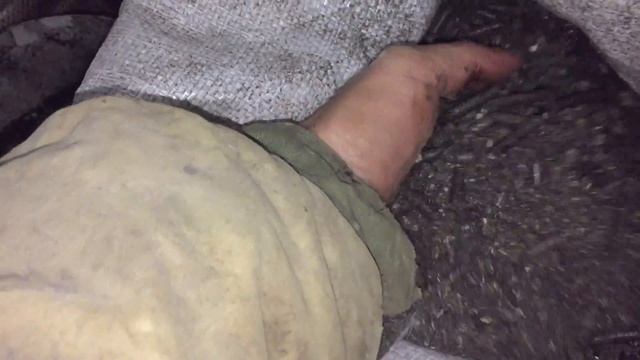 Моя матрица для гранулирования Травяной Муки! My matrix for the granulation of Herbal Flour! смотреть онлайн