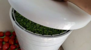 Приправа из овощей "Зимняя Вегета" в сушилке