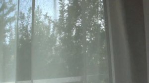 Повесила занавески на новой веранде. Красота !