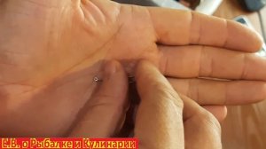 Отличные бюджетные крючки  Cobra Allround CA124, для леща и подлещика подходит идеально.