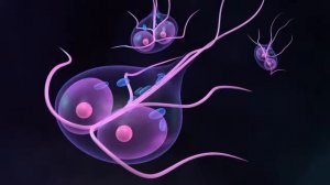 Симптомы лямблиоза