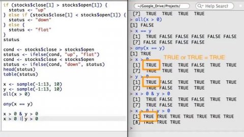 R programming for Beginners | R programming for Data Science