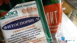 Грунт для моих пеларгоний. 29 сентября 2018 г.