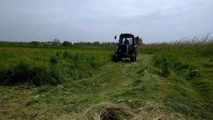 СЕНОКОС НА МТЗ 82.1!