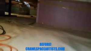 The Crawl Space Show | SEVERE MOISTURE DAMAGE | Before and After Crawl Space Encapsulation