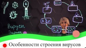 Особенности строения вирусов. 7 класс.